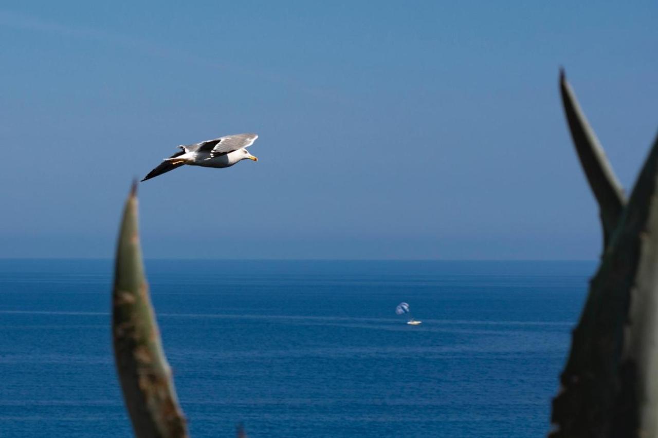 Il Poggio Di Tropea Hotel Parghelia Buitenkant foto